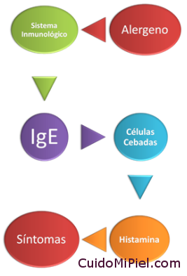 Reacción Alérgica