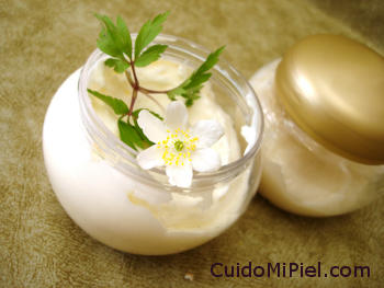 Crema Antioxidantes Antienvejecimiento